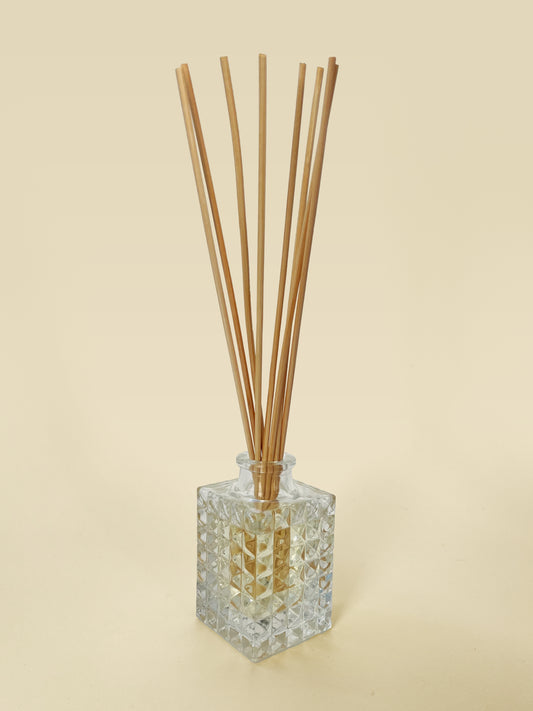 04. Diffusers by Darcy | Reed Diffuser - Coconut Lime